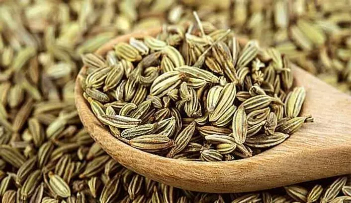 Rezene'nin faydaları