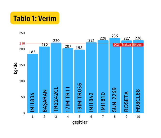 Resim3.png