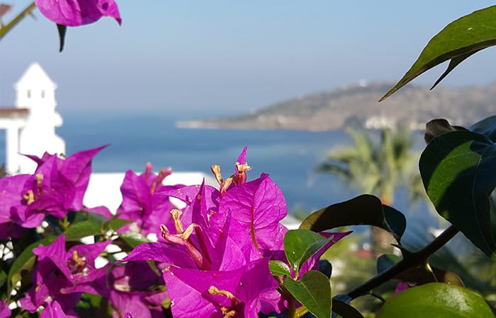 bodrum-evler.jpg