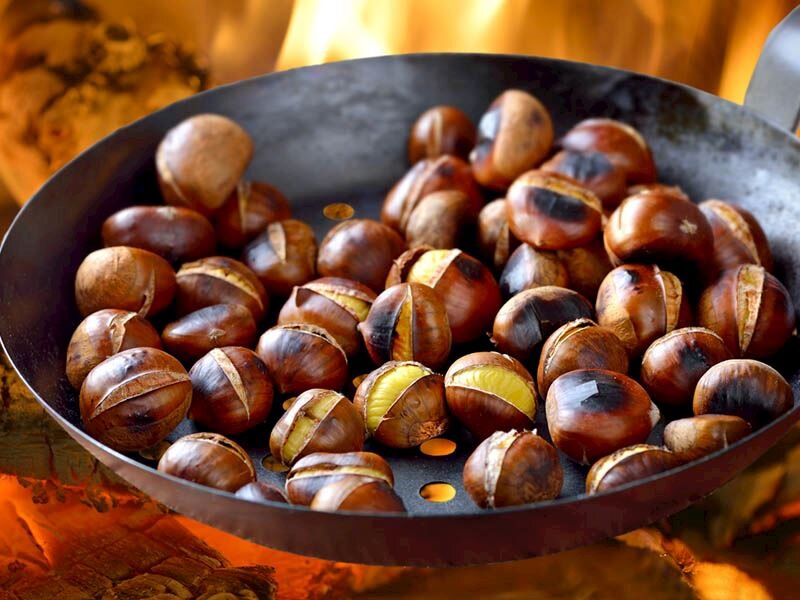Kestanenin Faydaları