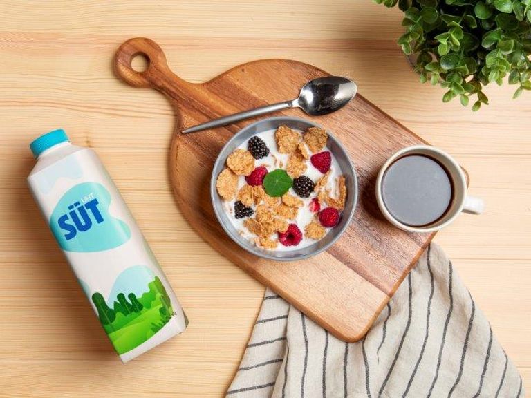 tetrapak_sutun–20192309121809328