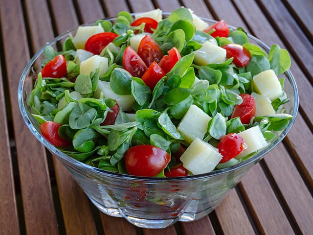 patatesli semizotu salatası
