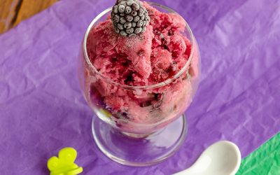 Dondurulmuş Böğürtlenli Yoğurt